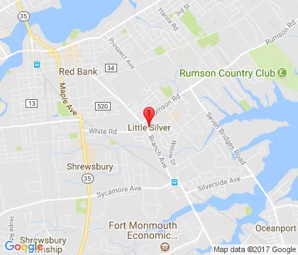 logo-image - little-silver-nj